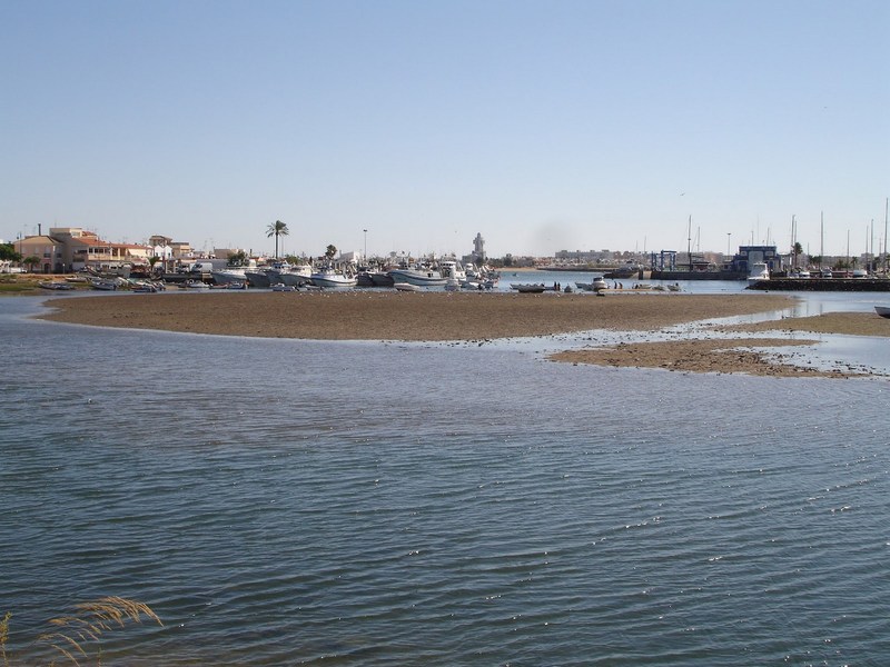 Apartamentos Leo Jardines De Isla Canela - Genel