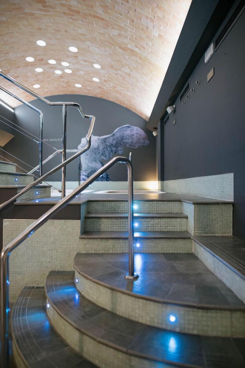 Myr Plaza Mercado & Spa - Aktivite