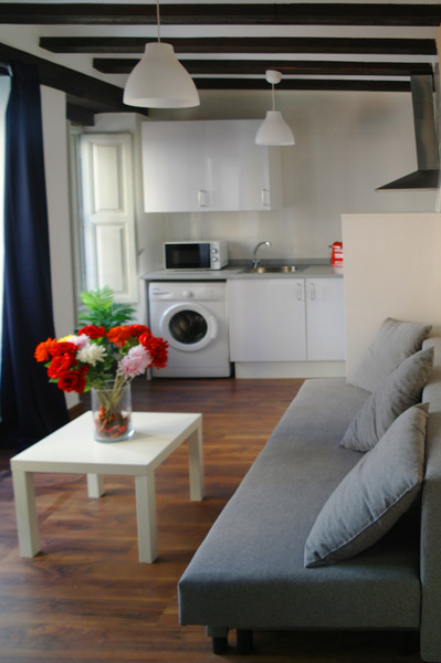 Apartamentos Down Town 13 - Oda