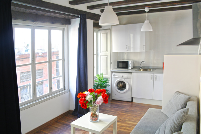 Apartamentos Down Town 13 - Oda