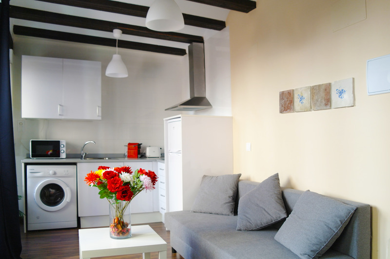 Apartamentos Down Town 13 - Oda
