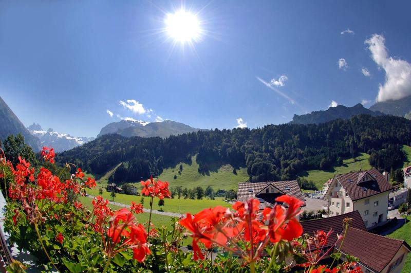 H+ Hotel & Spa Engelberg - Aktivite