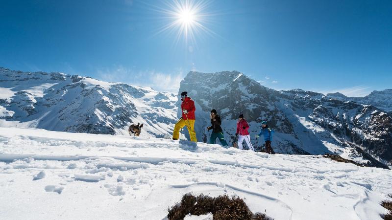 H+ Hotel & Spa Engelberg - Aktivite