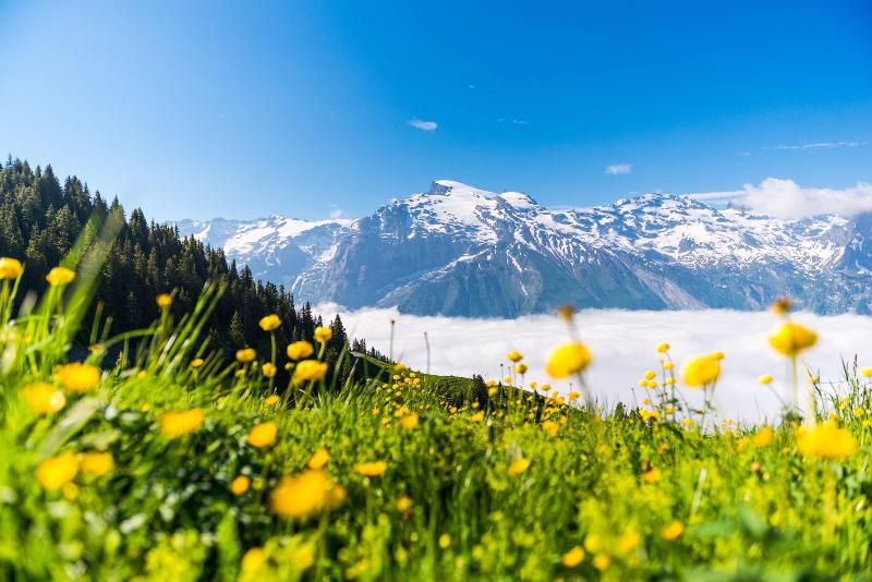 H+ Hotel & Spa Engelberg - Aktivite