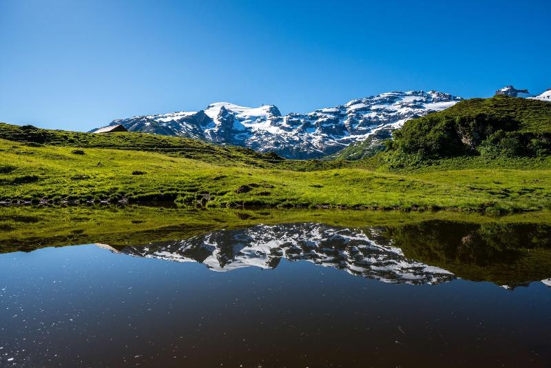 H+ Hotel & Spa Engelberg - Genel