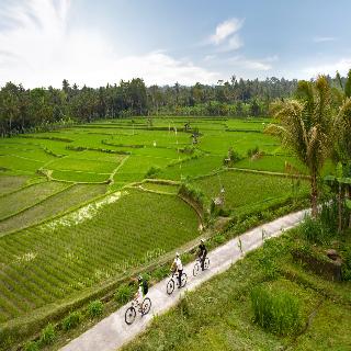 Padma Resort Ubud fotoÄŸrafÄ±