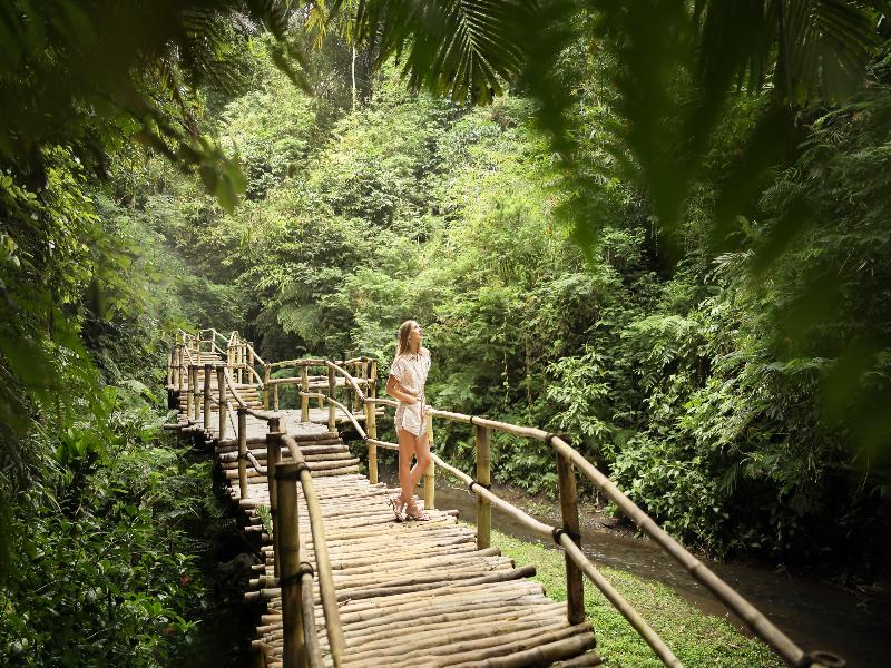 Padma Resort Ubud - Aktivite