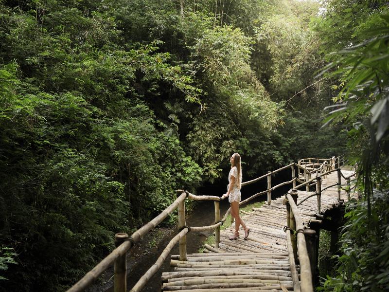 Padma Resort Ubud - Aktivite