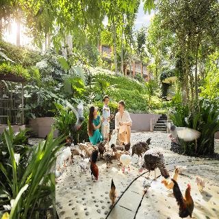 Padma Resort Ubud fotoÄŸrafÄ±