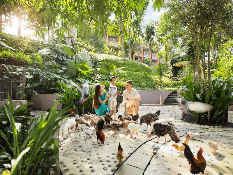 Padma Resort Ubud - Aktivite