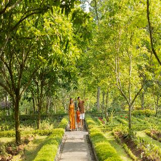 Padma Resort Ubud fotoÄŸrafÄ±