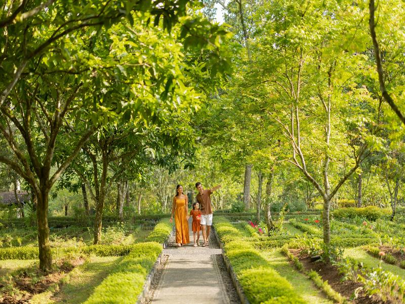 Padma Resort Ubud - Aktivite