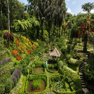 Padma Resort Ubud fotoÄŸrafÄ±