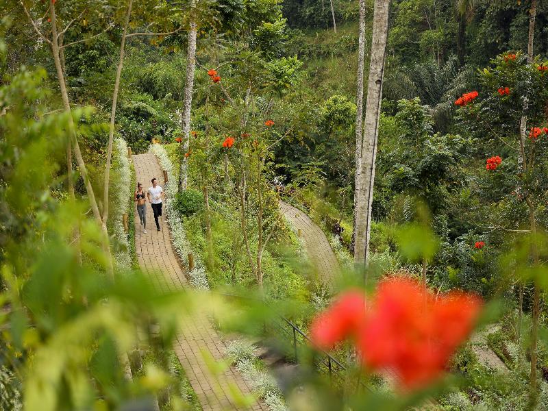 Padma Resort Ubud - Aktivite