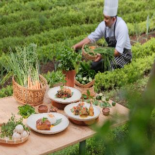 Padma Resort Ubud fotoÄŸrafÄ±
