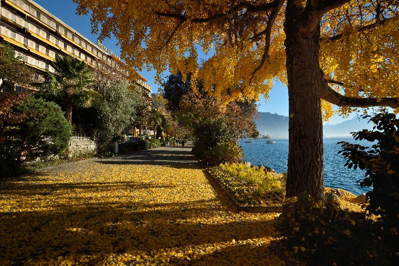 Royal Plaza Montreux - Genel