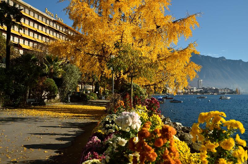 Royal Plaza Montreux - Genel