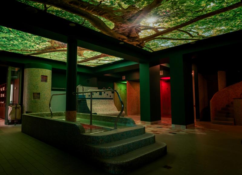 Hotel Vila Higiea - Terme Dobrna - Aktivite