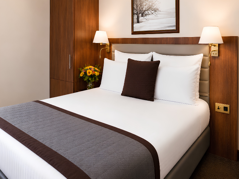 Hotel Mayflower Opera - Oda