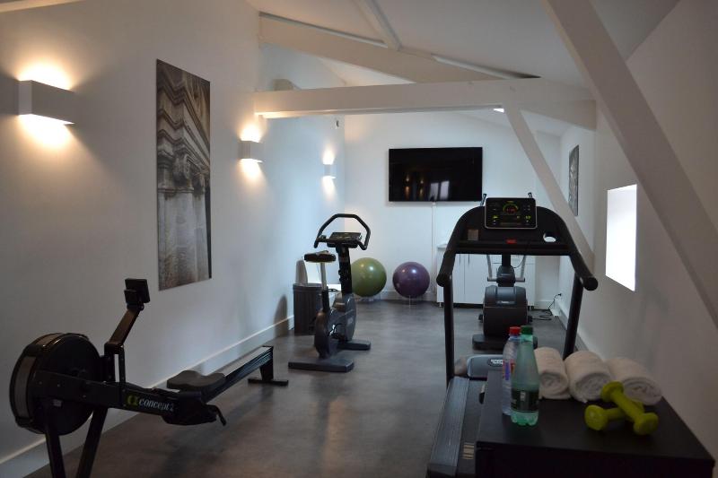 La Cour Des Consuls Hôtel & Spa Toulouse - - Aktivite