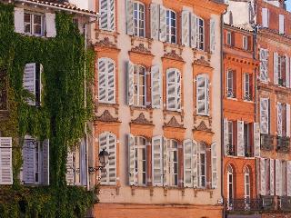 La Cour Des Consuls Hôtel & Spa Toulouse - fotoÄŸrafÄ±