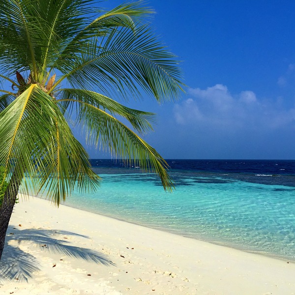 Furaveri Maldives - Plaj