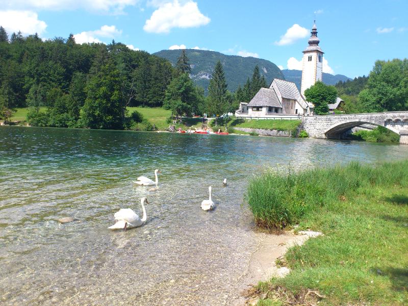 Hotel Jezero - Genel