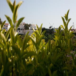 Ericeira Chill Hill 2 – Peach Garden fotoÄŸrafÄ±