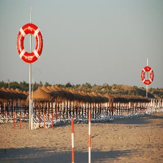 Alba fotoÄŸrafÄ±