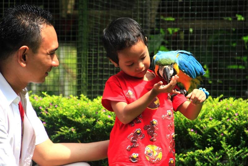 Royal Safari Garden Resort & Convention - Genel