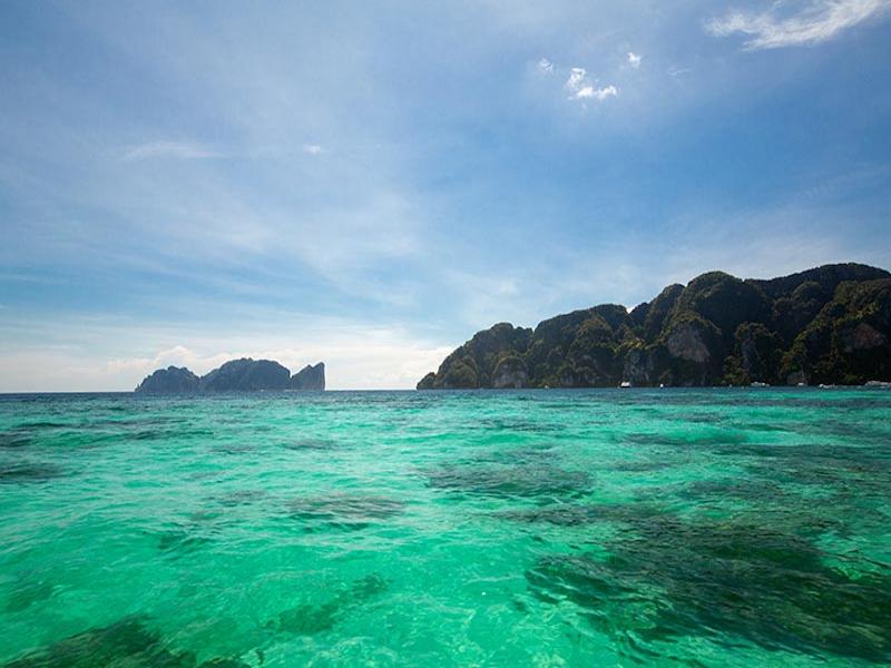 The Cove Phi Phi - Genel