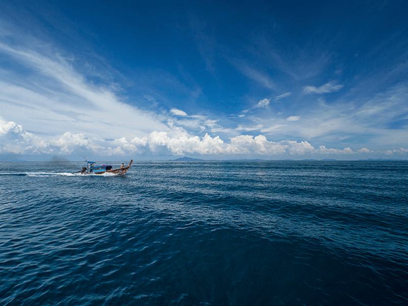 The Cove Phi Phi - Genel