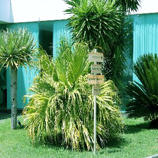Quinta Santa Barbara Casas Turisticas fotoÄŸrafÄ±