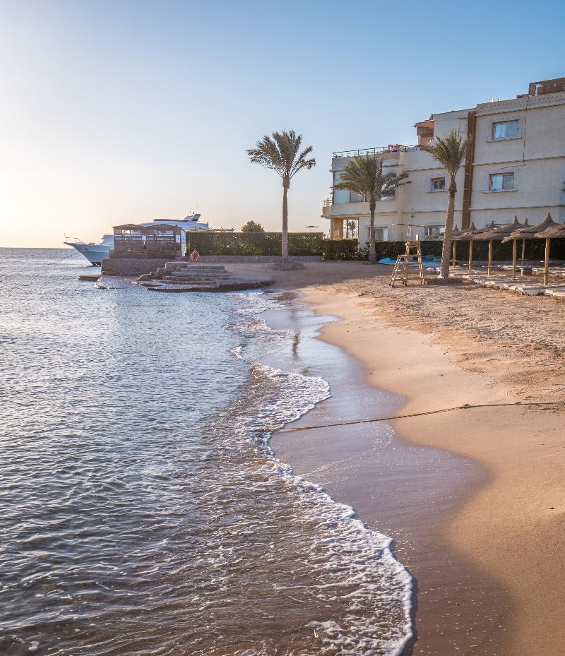 Seagull Beach Resort - Plaj