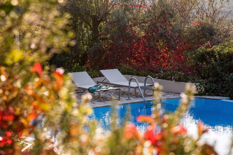 Art Blue Villas - Havuz