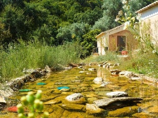 Casa das Cercas otel fotoğrafı