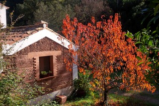 Casa das Cercas fotoÄŸrafÄ±