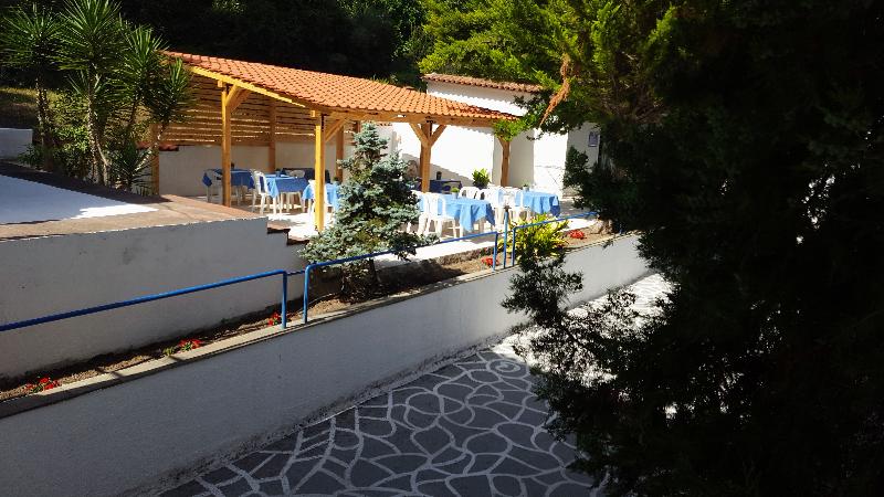 Roditsa Patritsia - Lobi