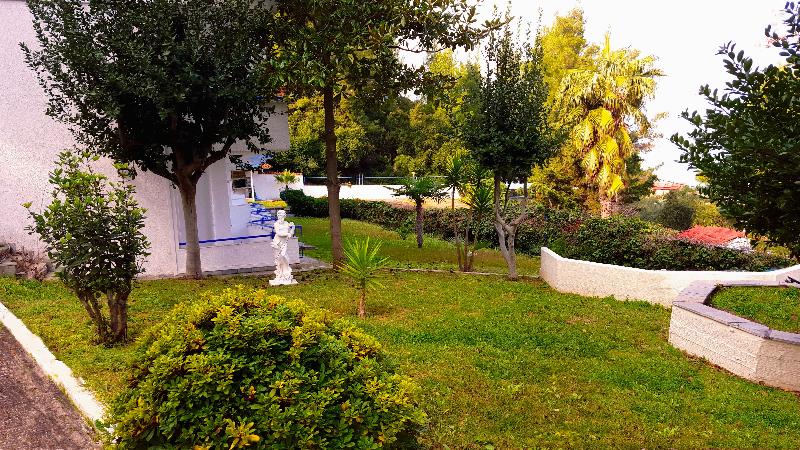 Roditsa Patritsia - Genel