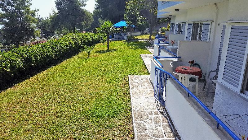 Roditsa Patritsia - Genel