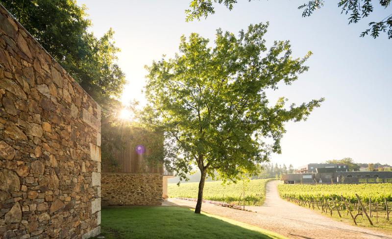 Monverde – Wine Experience Hotel by Unlock Hotels - Genel