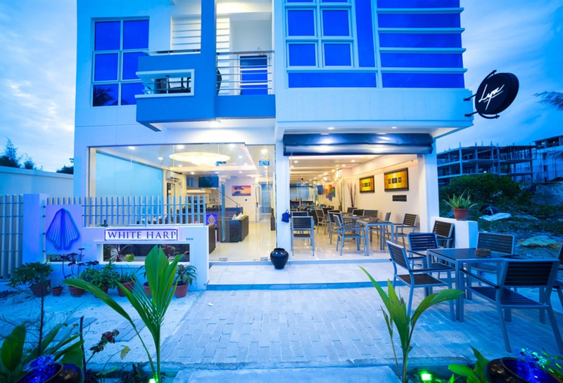 The White Harp Beach Hotel - Genel