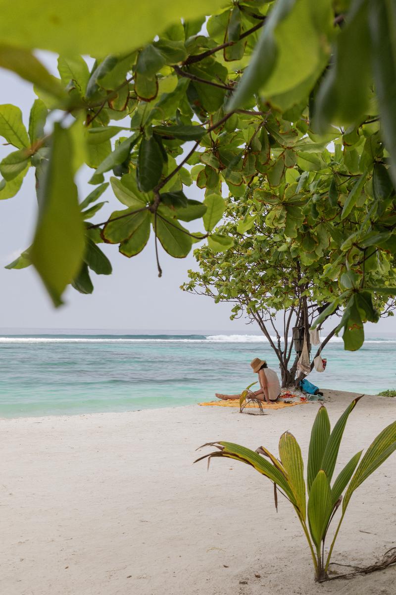 The White Harp Beach Hotel - Genel