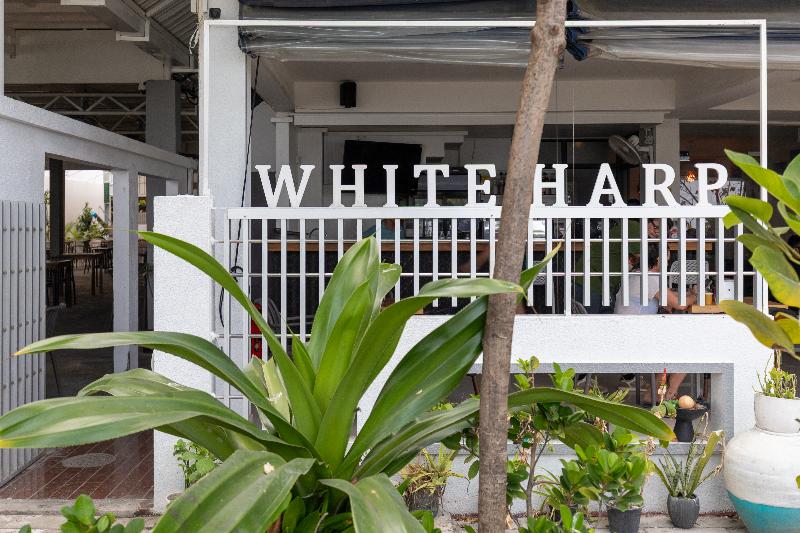 The White Harp Beach Hotel - Genel