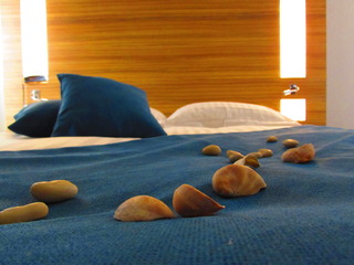 Brit Hotel Privilege Plerin fotoÄŸrafÄ±