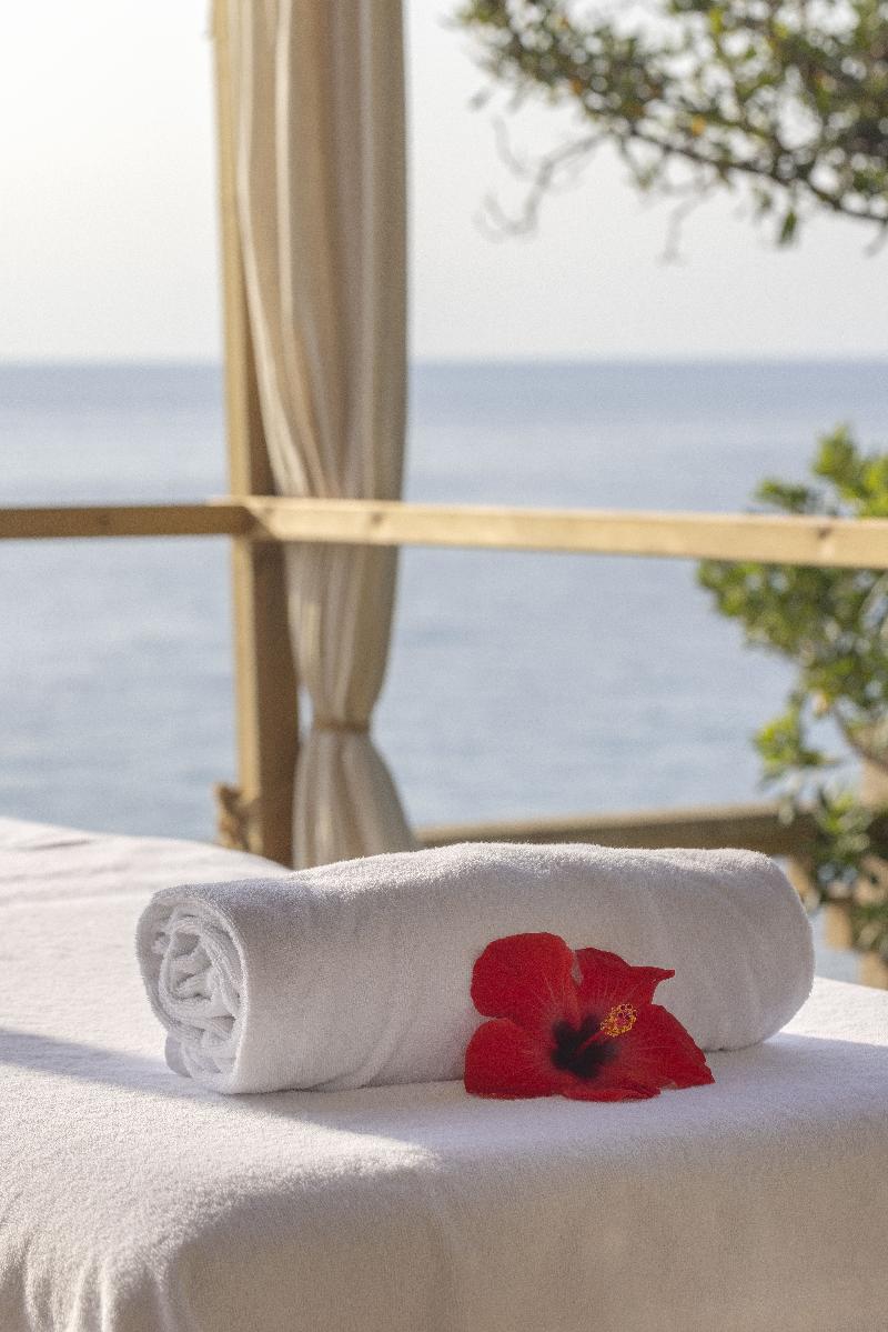 Alua Calas de Mallorca Resort - Teras