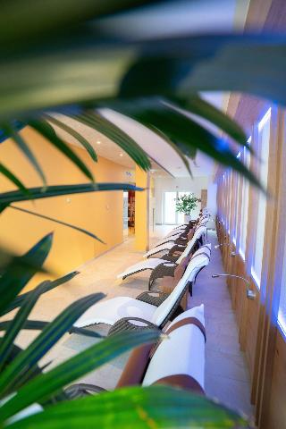 Hotel Adler fotoÄŸrafÄ±