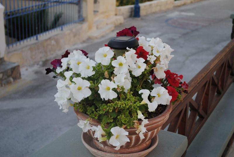 Chez Sophie Rooms And Suites - Genel