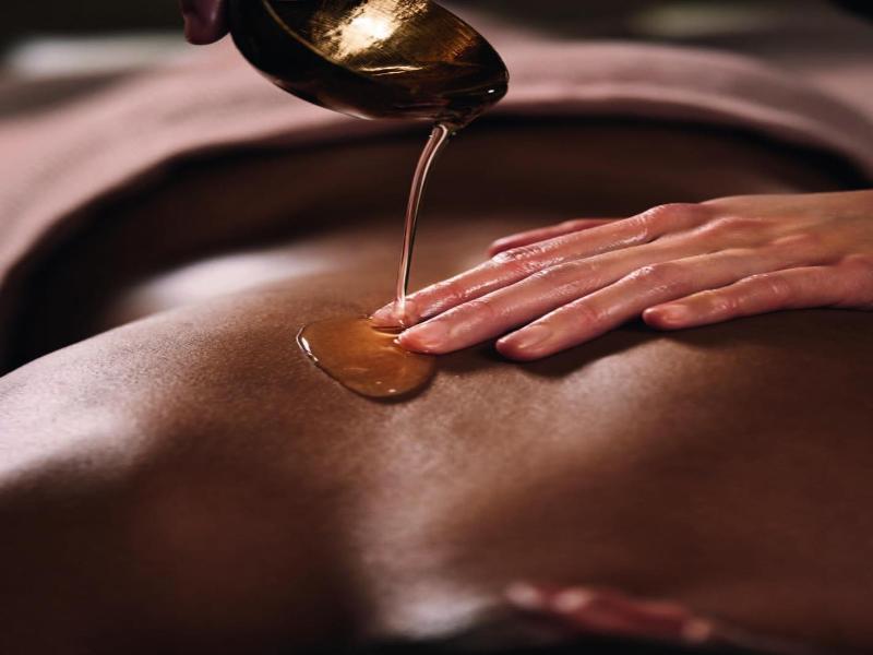 Grand H tel & Spa NUXE Serre Chevalier - Genel