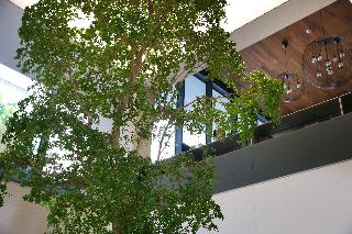 Lux Lisboa Park fotoÄŸrafÄ±